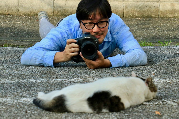『必死すぎるネコ』のフォトグラファーに聞く、ネコを可愛く撮影するための3つのテクニック