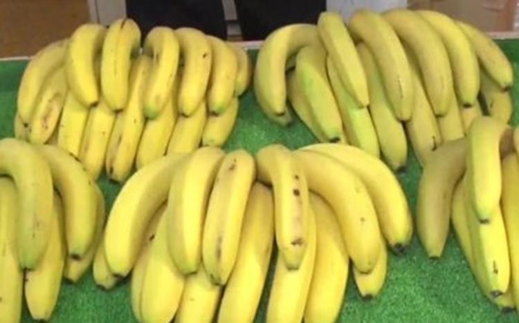千葉県館山人が愛する”究極のバナナ”とは？　バナナ専門店店主が”最高のバナナの選び方”をレクチャー：ありえへん∞世界