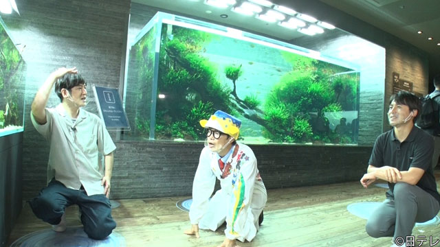 田中直樹（ココリコ）がさかなクン、桝太一アナウンサーらと水族館の「新しい楽しみ方」を紹介