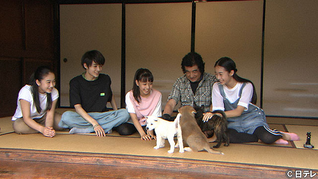 藤岡弘、一家が日本犬を育てる