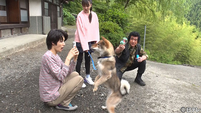 藤岡弘、ファミリーがTikTokで日本犬の魅力を世界中に発信！