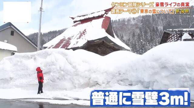 東京の人は10cmの雪で騒いでダサい？雪国県民たちの雪と戦う冬を見よ！ ここがオモロイ！「秘密のケンミンSHOW」
