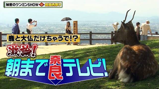 【奈良県】「大仏と鹿しかない」でも京大合格率！貯蓄額！いろいろあるぞ、奈良県の日本一！