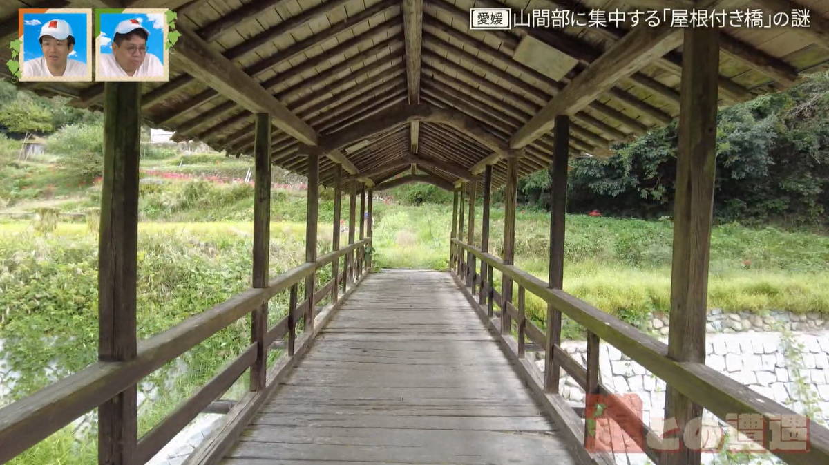 愛媛の山間部に集中する “屋根付き橋”の謎　弓削神社の参道に架かる太鼓橋も